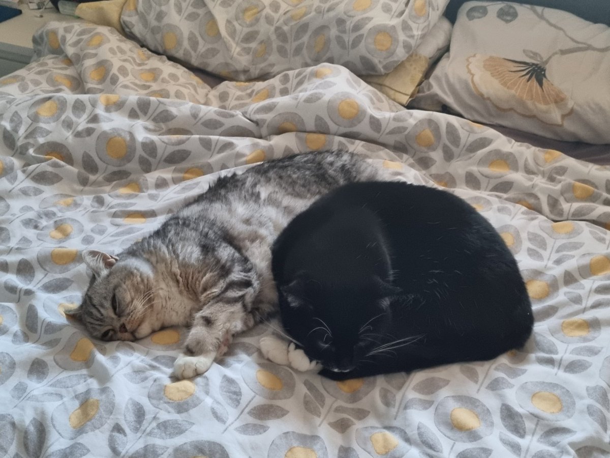 Mrs K.Edwards tweet media