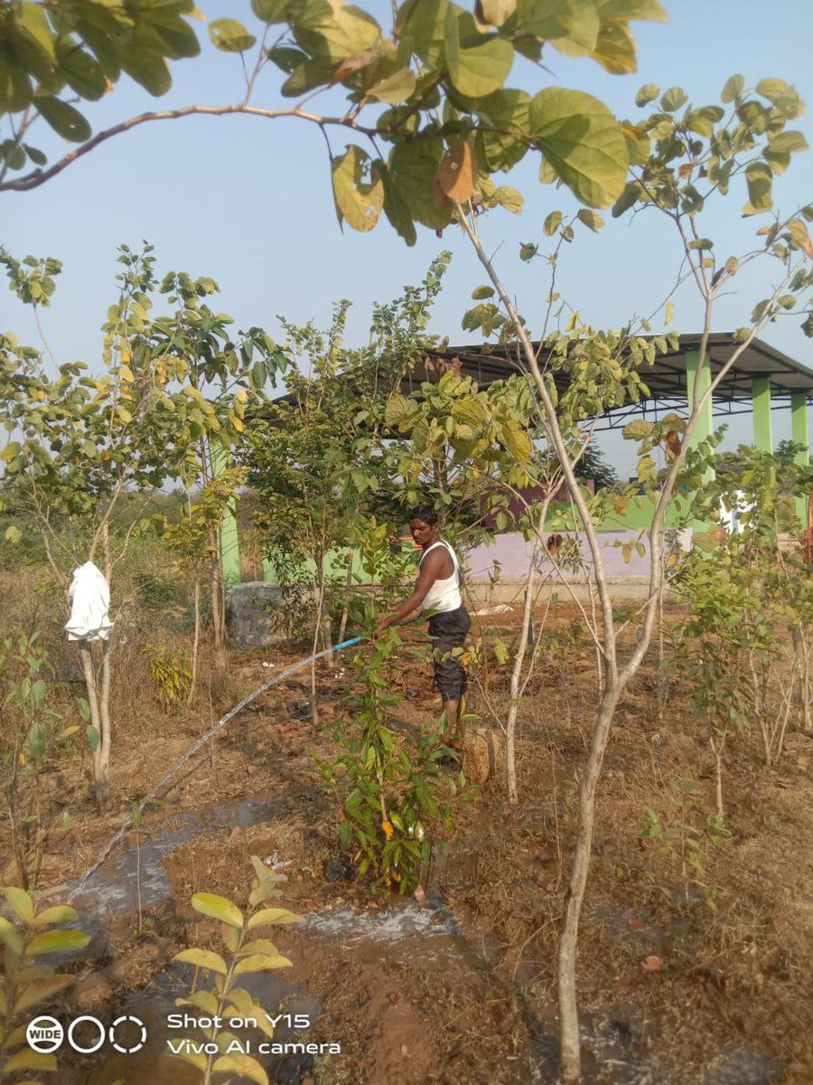 MPPSDPTURBAN's tweet photo. Watering done to different plantation sites in different Gram Panchayats in Siddipet Urban Mandal
@AcSiddipet @Collector_SDPT @DayakarRao2019 @MoRD_GoI @MgnregsT @trsharish
#TKHH #plantations https://t.co/s9tUvqTGqo
