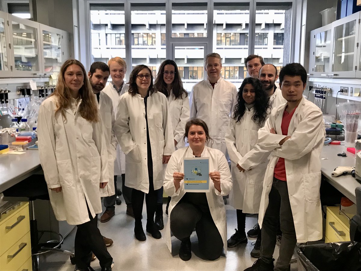 Proud to announce that as the first lab at @UCPH_CPR we have been awarded the #LEAF GOLD certification for our efforts to make lab work more #sustainable. Big thanks to all group members for supporting #sustainablescience.

@LEAFinLabs @AvaSustain @UCPH_health @UCPH_Research