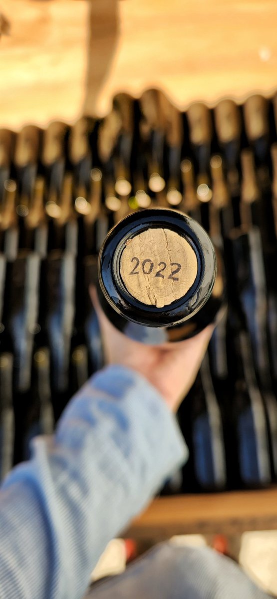 The Garajeest. tweet media