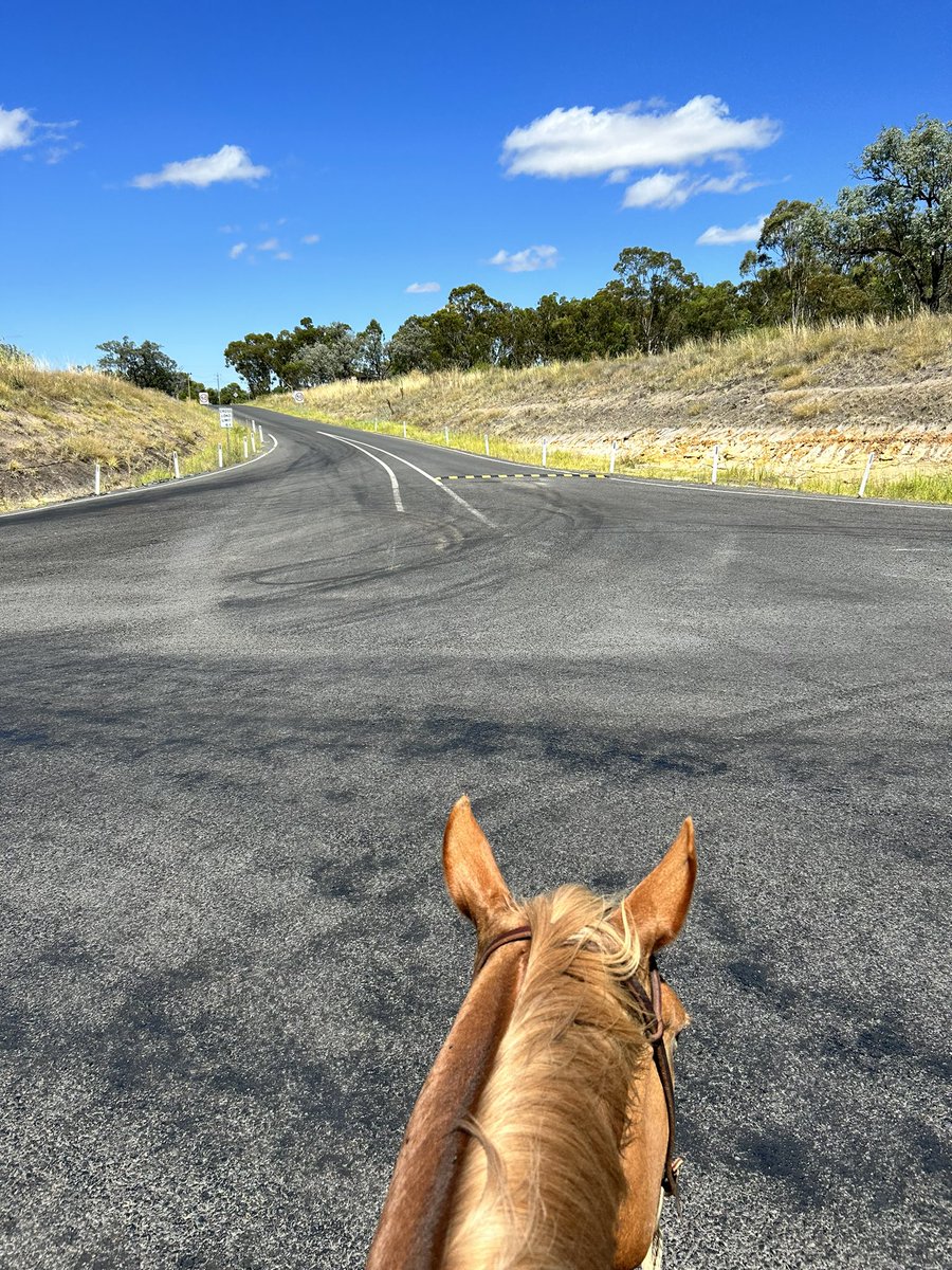 Better take the bypass 🐴🛣️ #OnTheTrail