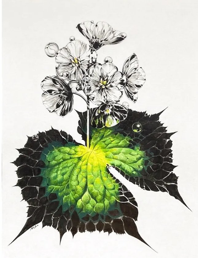 昨年東京大阪にて開催した個展"flourish"に足を運んで下さった方々、ありがとうございます。
原画やジークレーは現在引き続きPAGIC galleryさんの方で販売して頂いております。

https://t.co/sUSBo9njhC 