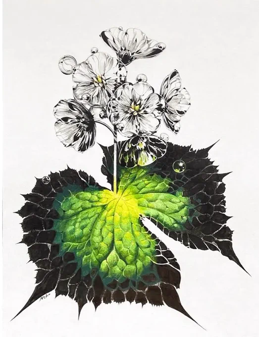 昨年東京大阪にて開催した個展"flourish"に足を運んで下さった方々、ありがとうございます。原画やジークレーは現在引き続きPAGIC galleryさんの方で販売して頂いております。 