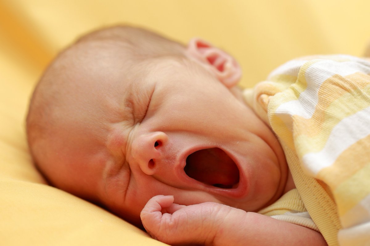 Veritasium_cat's tweet image. Segons la #cosmogonia grega, a l&apos;inici existia el Caos, un espai buit com una boca oberta en un badall. Del caos van sorgir Gea, la Terra, i el Tàrtar, que està situat per sota. I després va aparèixer Eros, l&apos;amor.

Fil de badall a bombolla 1/2
#clàssiques #física #gas #Teogonia