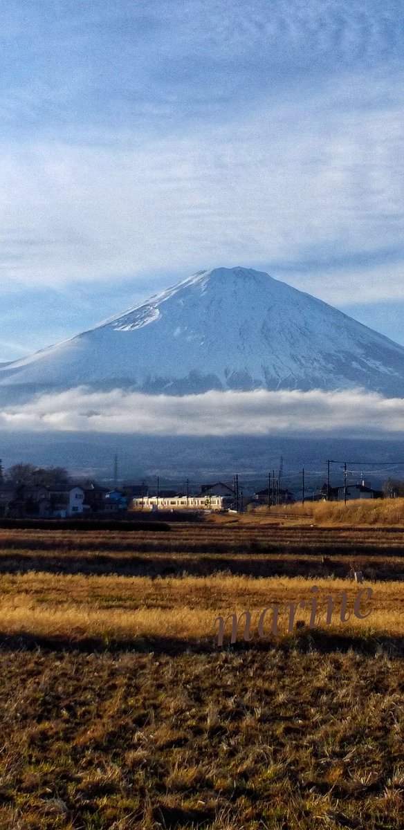 🗻富士山通信🗻 【冬枯れの野原を 313系は行く】 見守る富士山🗻 すっかり日が暮れましたね✨ お気をつけて お帰りくださいね🍀 お仕事のかた お疲れさまです🍀 ＃富士山