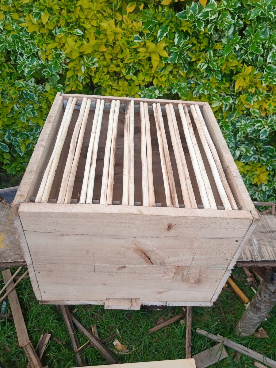 Kirimiri Forest Honey (@KirimiriH) on Twitter photo 2023-01-17 08:56:30 Tried making comfort hive, i hope bees will like it #savethebees @irenicbieber @TylaGlasBees #bees #BeeNetwork #ecolife #traditional #ecology #colonized #family #honey #Honeybees #honeyrose Tried making comfort hive, i hope bees will like it #savethebees @irenicbieber @TylaGlasBees #bees #BeeNetwork #ecolife #traditional #ecology #colonized #family #honey #Honeybees #honeyrose