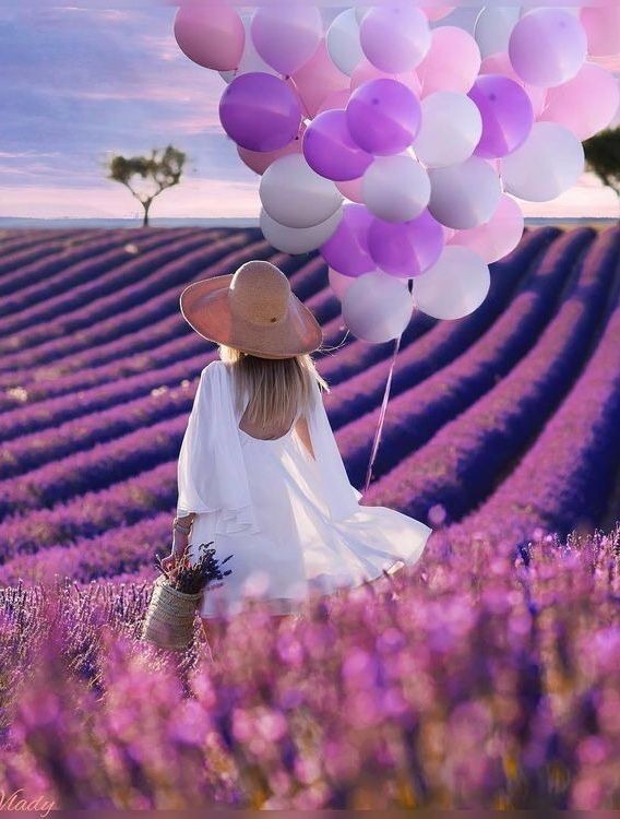 🍓#FollowsEli💐
╚»★«╝#TmLily🌷★«╝
⚘
<a href="/_Dara0/">Dara👑#FollowsEli 100%🇧🇷</a>
<a href="/Lily_Tmlily/">°˚♡❀ Lily ❀♡˚°</a>
<a href="/jasmine50012486/">🌼࿐♡ᒍᗩSⓂ️İᘉᕮ🌼｡･ﾟ♡ﾟ</a>
<a href="/insaurraldeh/">⭐POLI⭐ #MGWV⭐</a>
<a href="/miarianmoreno/">MIRIAN_RD🇩🇴 #LoveDMami ❤AmigosD❤</a>
<a href="/PARIS_ADRY/">🗼🗼ADRY 🗼🗼</a>
<a href="/m_shahed_18/">m.shahed</a>
<a href="/R1_Adv/">Ridwan R1🇮🇩</a>
<a href="/Aegir25/">༆John༆</a>
<a href="/majd9757/">M</a>
<a href="/oce2005/">Oce2005</a>
☘
<a href="/SevenGodess/">𝟟🅖🅞🅓🅓🅔🅢🅢 👠👠</a>
<a href="/Mel77171323/">🎀める✧⃝𝓜𝓮𝓵🌙┄✩ͯ•͙͙✧⃝🌙✩ͯ┄•͙✧⃝🌙┄✩ͯ•͙͙✧⃝🌙</a>
<a href="/jet_new/">ⓙⓝ ʝɛt_ռɛա</a>
<a href="/WALLI27/">Jhon f perez🎶🎸🚵☯</a>
<a href="/JennyDazze/">𝒥ℯ𝓃𝓃𝓎࿐🦋</a>
<a href="/GREATASOK/">Ashok Shrivastava.</a>
<a href="/witchhusband/">Julian Haynes</a> 
<a href="/RampalS64916312/">Rampal Singh</a>