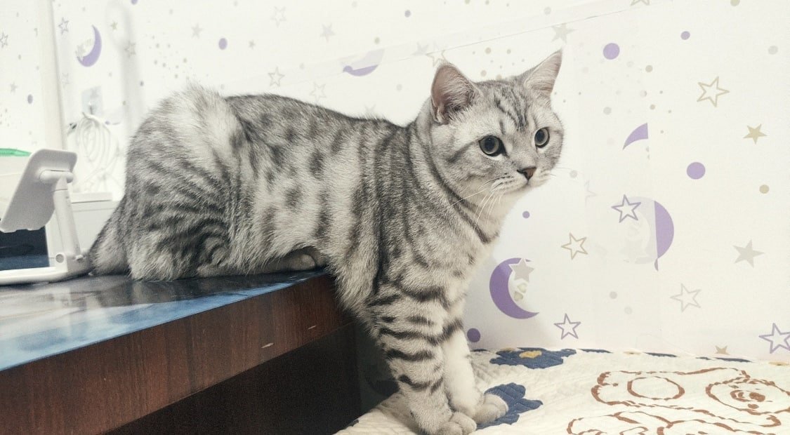 Ningmakelove's tweet photo. 下輩子做個小動物吧 
應該這樣就沒煩惱了 https://t.co/GDkwsJ6F0J