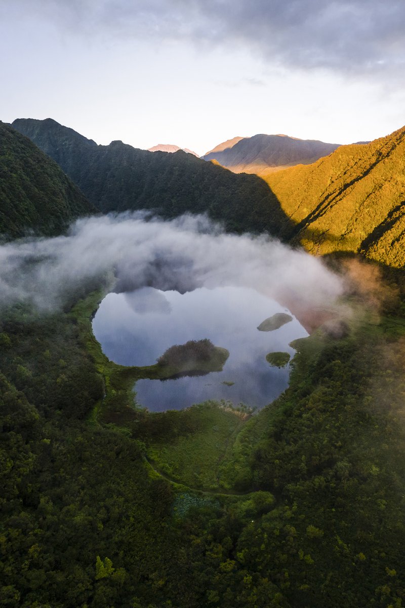 ReunionTourisme's tweet photo. Le Grand Etang, l'unique lac d'origine volcanique d'altitude à La Réunion.

📸F. Barberet 

#lareunion #reuniontourisme #ileintense #gotoreunion https://t.co/YCbgGqfqfc
