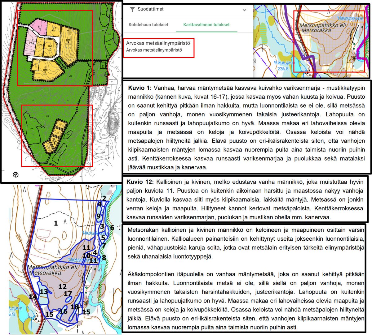 Luonnonmetsä tweet media