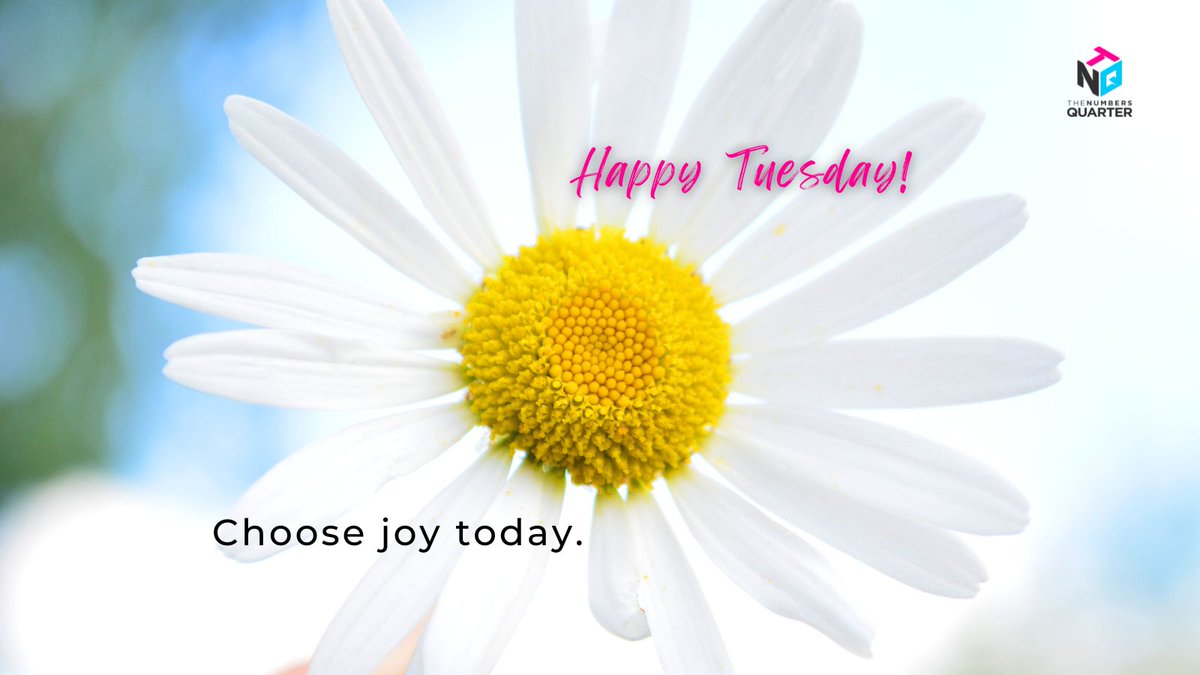 TNQAccountancy's tweet image. #tuesdays #tuesdayfeels #tuesdaypost