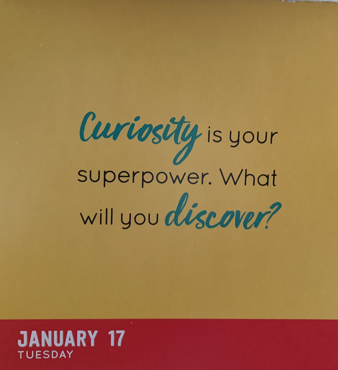 BellesWi's tweet photo. What did you discover recently ? 123 go? #curiousity did it really kill the cat ? X https://t.co/u4fLCUNiY6