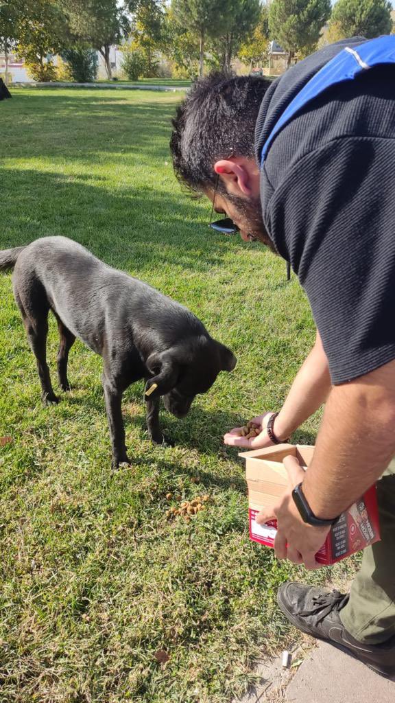 GSB_75YilGM's tweet photo. Tüylü dostlarımızla vakit çok güzel geçiyor! 😇
Karınları doyuyor,sevgi ve şefkat ihtiyaçları gideriliyor🐾🐾
75.Yıl Gençlik Merkezinde #MutluPatiler projesi yeni yılda da devam ediyor 🐶🐈
Merak etmeyin, minik patiler bize emanet!💪
#SevgiveMerhametTimi https://t.co/RFsolDLXZr