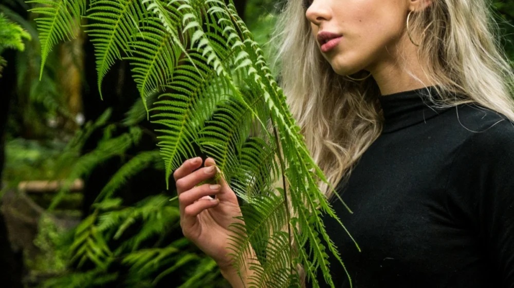 Gamezone tweet media