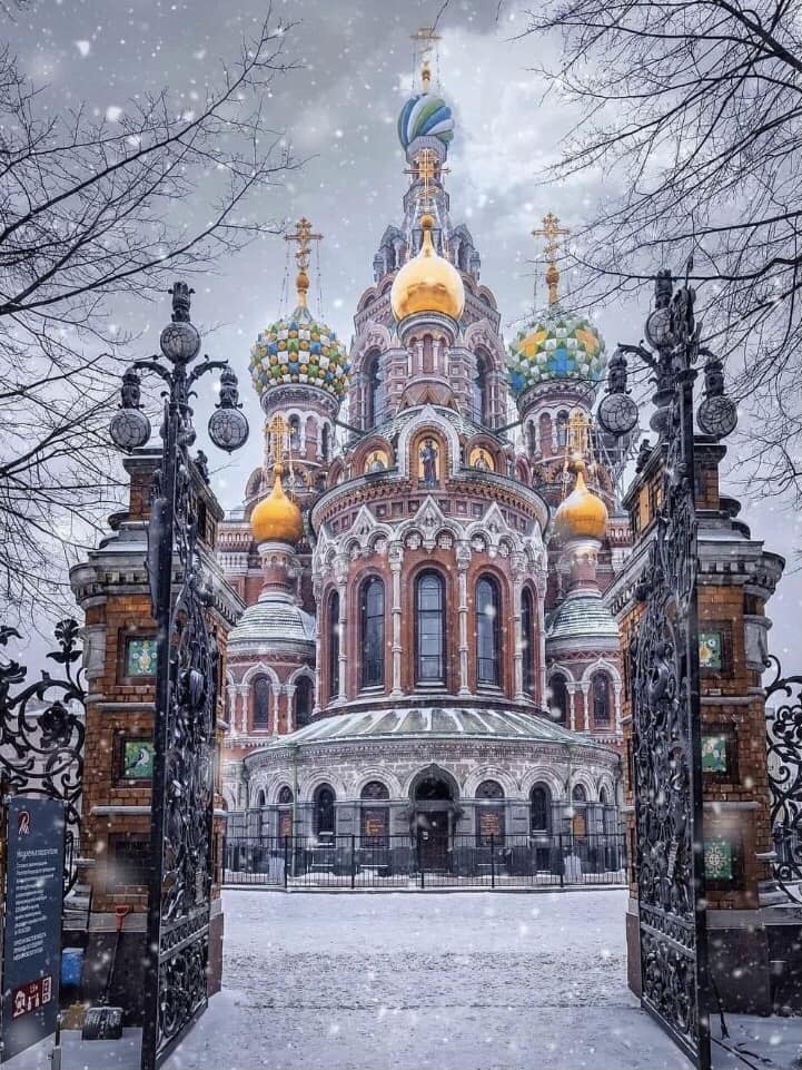 ABeautifulCult1's tweet photo. St Petersburg, Russia 🇷🇺 https://t.co/vnayIYoLbJ