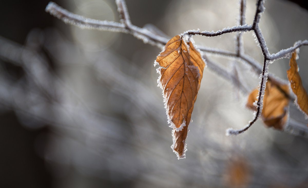 wcavaorg's tweet image. There's a Level 3 #ColdWeatherAlert for the #WestMidlands this week.

Many people are at greater risk of harm during #ColdWeather - so be #WeatherAware ❄️

Check on those who are more vulnerable to make sure they #StayWellThisWinter

⬇️ See #NHS advice ⬇️
bit.ly/3QJWrgi