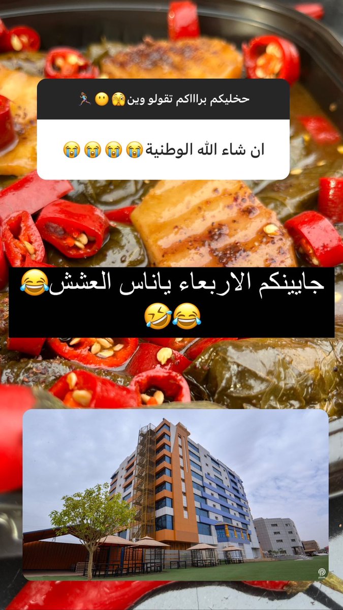 منشنو ناس العشش🤣🤣😂