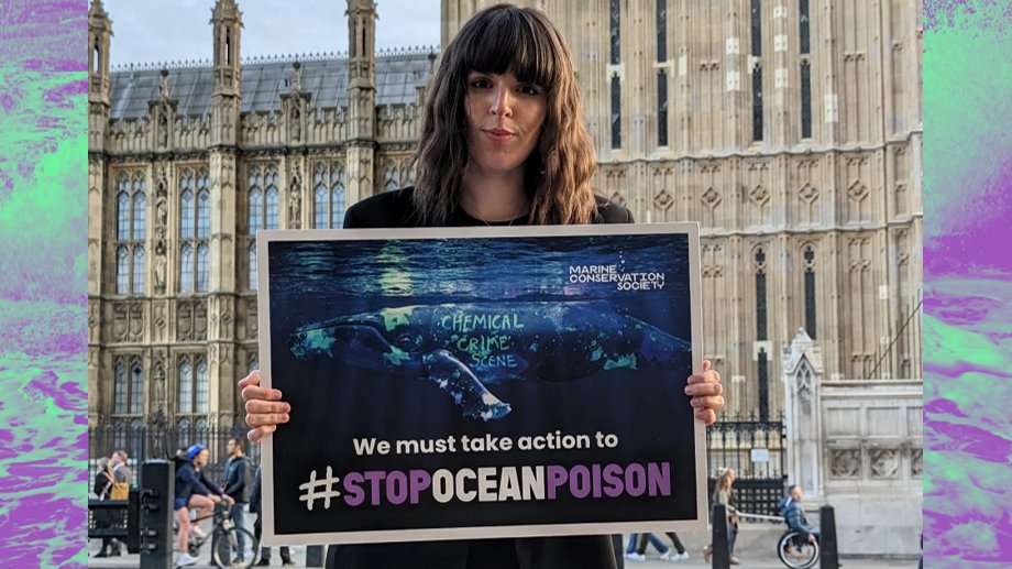 We're at Westminster today co-hosting an event with <a href="/CHEMTrust/">CHEM Trust</a> sponsored by <a href="/KerryMP/">Kerry McCarthy</a> to talk to MPs about forever chemicals and why we need urgent action on them to protect our planet, wildlife, and us. 

#StopOceanPoison