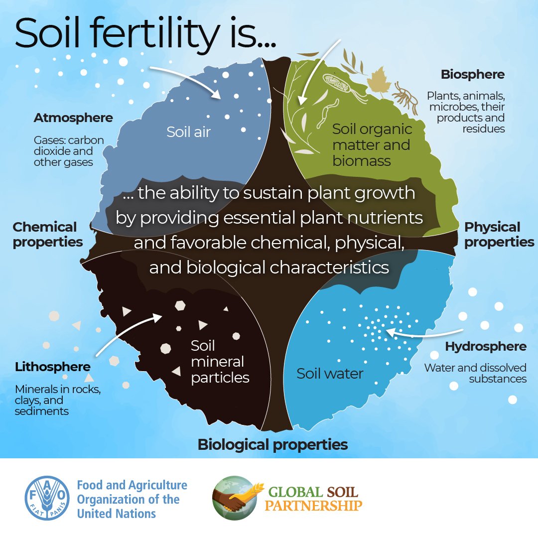 What is soil fertility and how is it important?💭 Healthy soils sustain life. 🌿🌦️ But land degradation leads to, among other things, the loss of #soil fertility constituting a risk to food security. — @ipbes #LandDegradation Assessment 📷 @fao #GlobalSoilPartnership