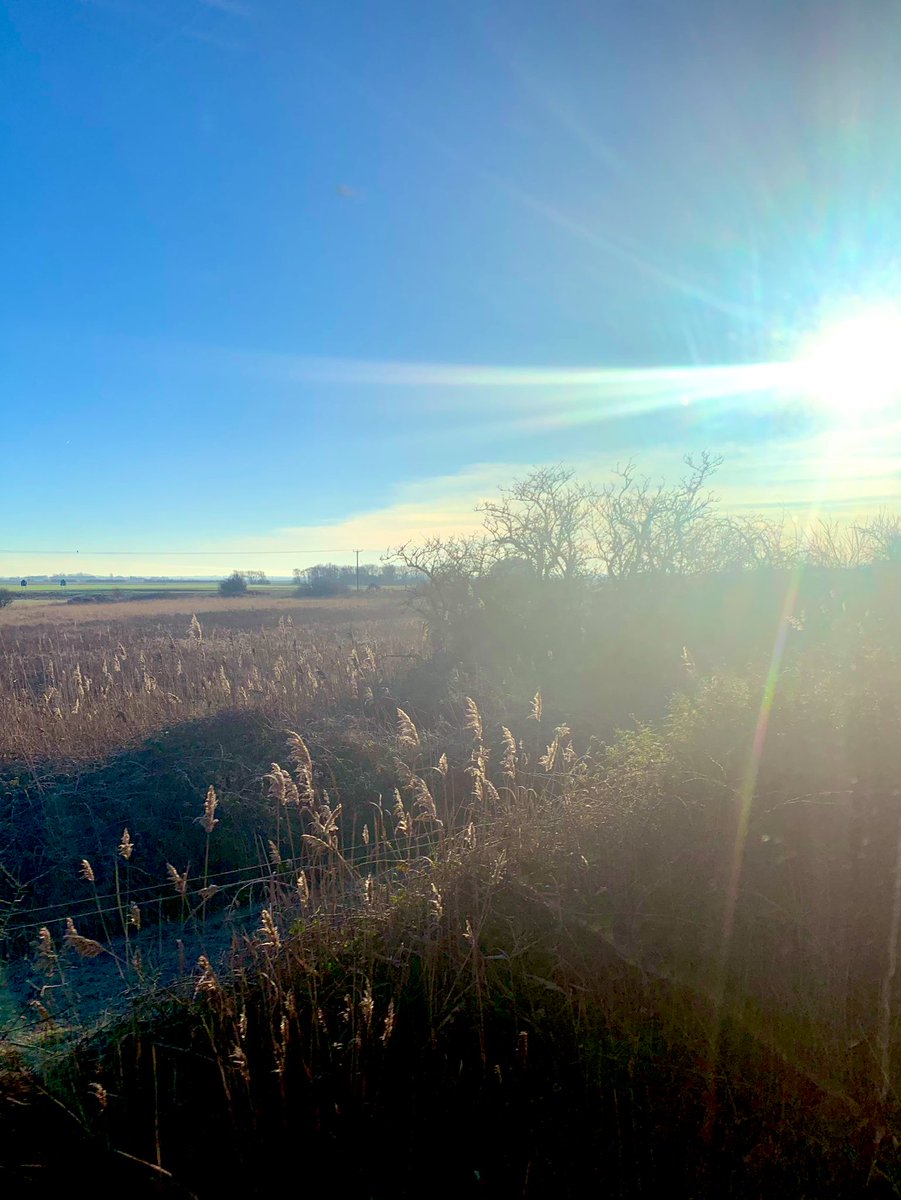 Great trip to London today <a href="/LNER/">London North Eastern Railway</a>
Beautiful day outside,made even better by the lovely crew on board  
👏👏👏#ourpeoplerock