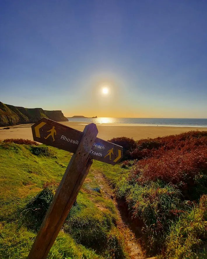 ClyneFarmCentre's tweet photo. Beach Of The Week - Rhosilli, Gower. Possibly one of the most beautiful beaches in the world; Rhosilli is a must-visit when you are in the area. Ideal for family beach days, serious walkers, or even a gentle stroll and bite to eat in one of the local eateries.
#Rhosilli https://t.co/eXN5zE2ipt