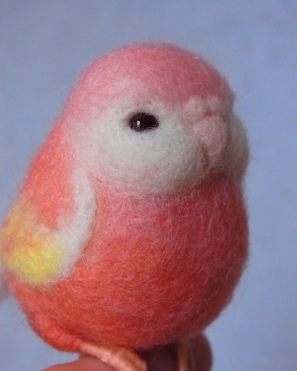 ハイクオリティ 羊毛フェルト 干支の子❤︎アキクサインコのブローチ