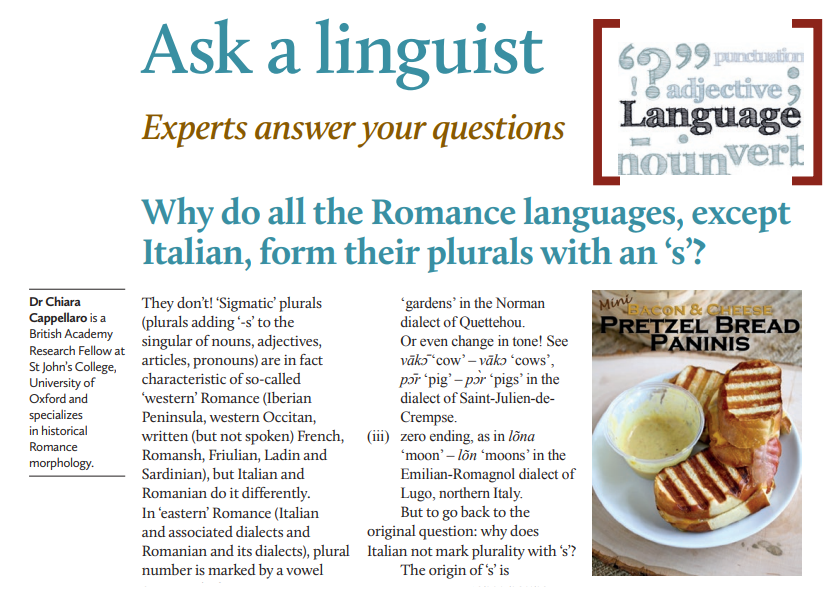 How do European plurals work? Babel No6 asks a linguist... bit.ly/3kmgVjg