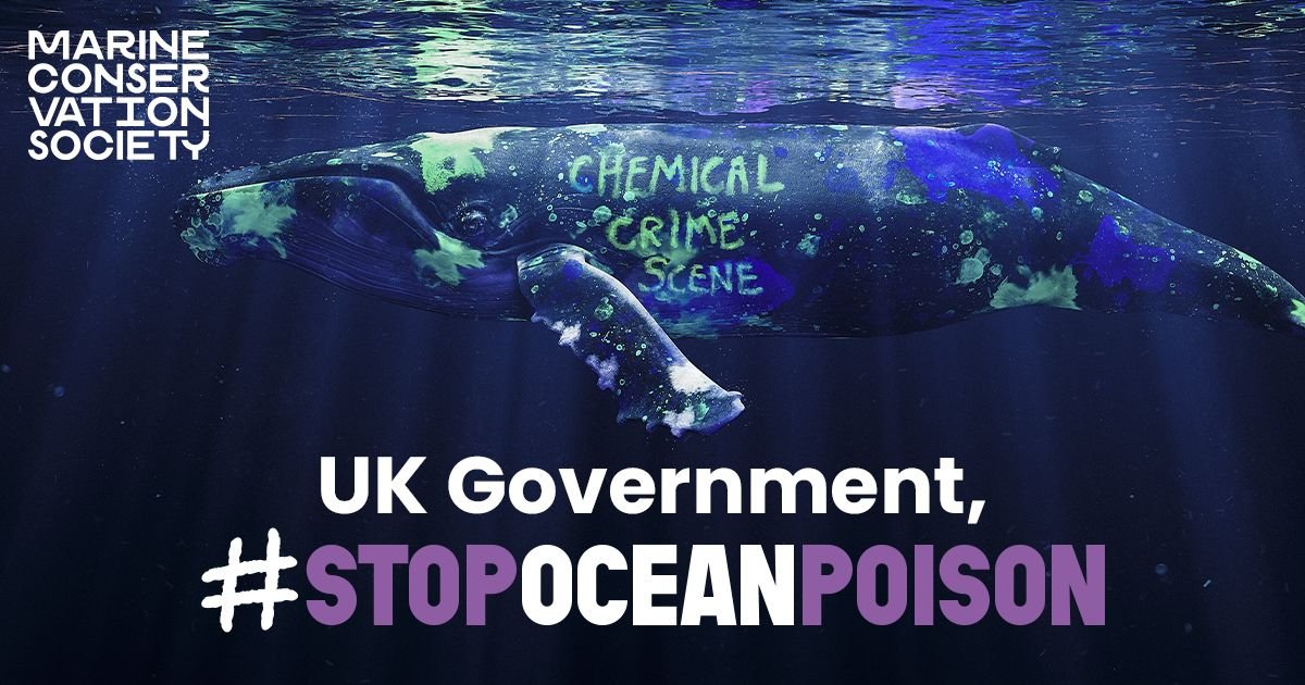 Today we’re co-hosting a UK parliamentary event with <a href="/mcsuk/">Marine Conservation Society</a> to #StopOceanPoison 🌊
 
Calling on <a href="/GOVUK/">GOV.UK</a> to protect the environment with a strong chemicals strategy, incl. a ban on all non-essential uses of PFAS.

Thank you to <a href="/Kerrymp/">Kerry McCarthy</a> for hosting