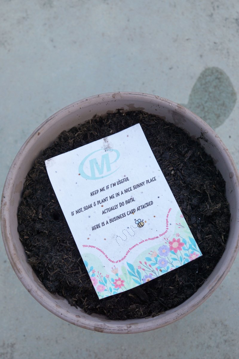 It may have been #BlueMonday yesterday, supposedly the most depressing day of the year, but we've got a SPRING in our step after checking progress on our SEED PAPER growth  🌱!