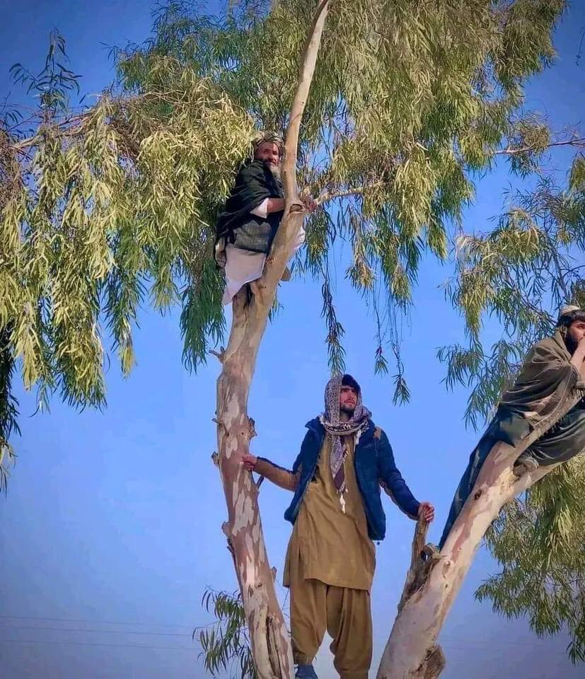 AbdulhaqOmeri's tweet photo. طالبانو په کندهار کي نهه کسانو باندې چي د لواطت او غلا تور پر پوري وو،  په عام محضر کي سزا حکم پر عملي کړ. https://t.co/sTYNnrgur3