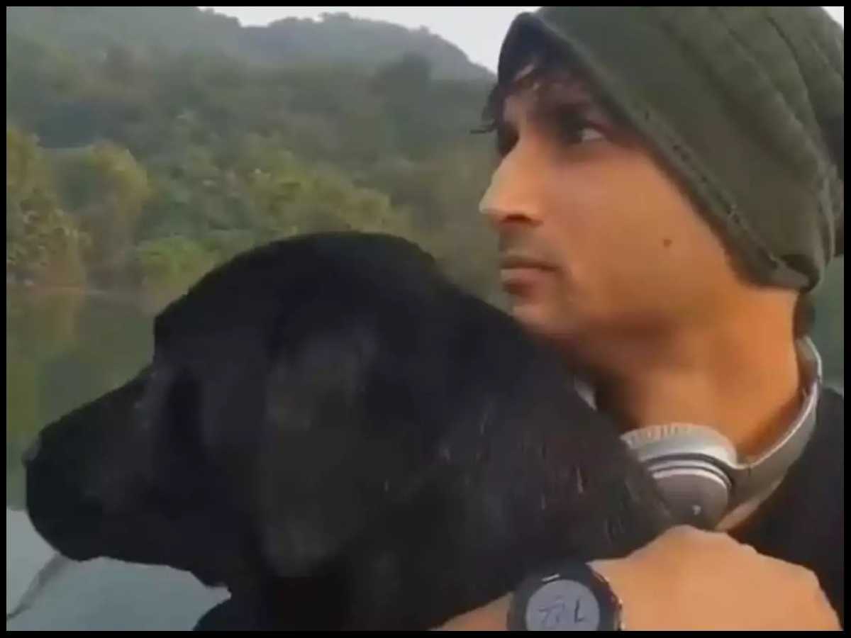 Jannat_Firdouse's tweet photo. 🥺🥺🥺🥺🥺🥺🥺🥺🥺🥺🥺🥺
I also want to go with them 💔

#SushantSinghRajput𓃵 
#Fudge https://t.co/KvfTckFUV3