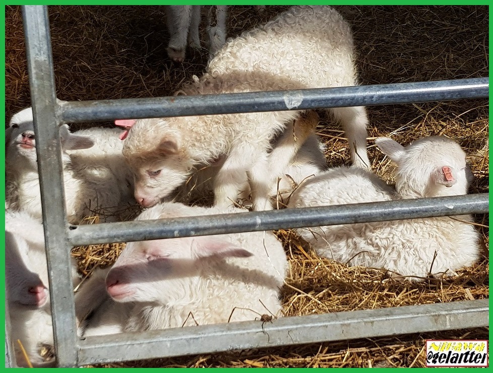 Prefiero vivir y haber perdido que no perder sin haber vivido.