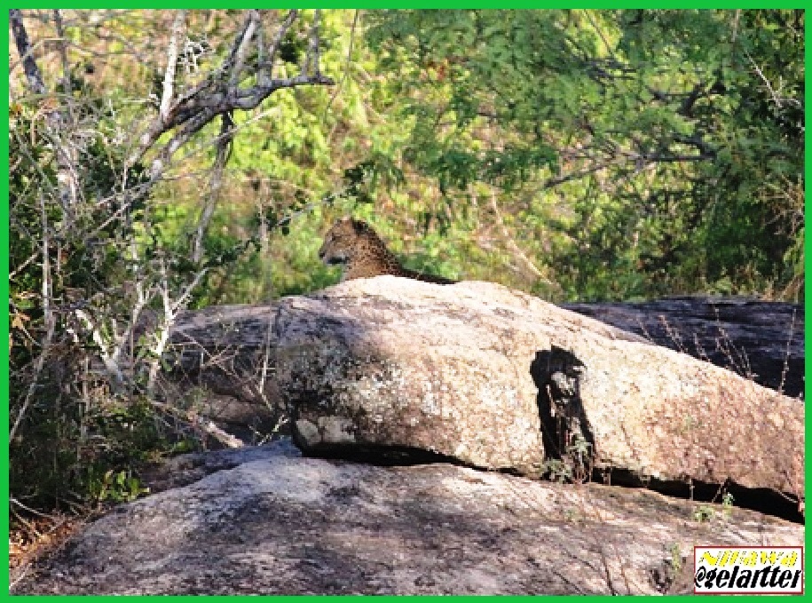 Siempre es mejor apostar fuerte.