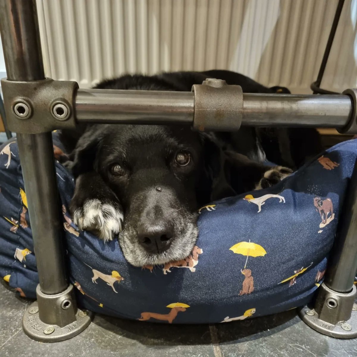 Dudda's Tun Cider tweet media