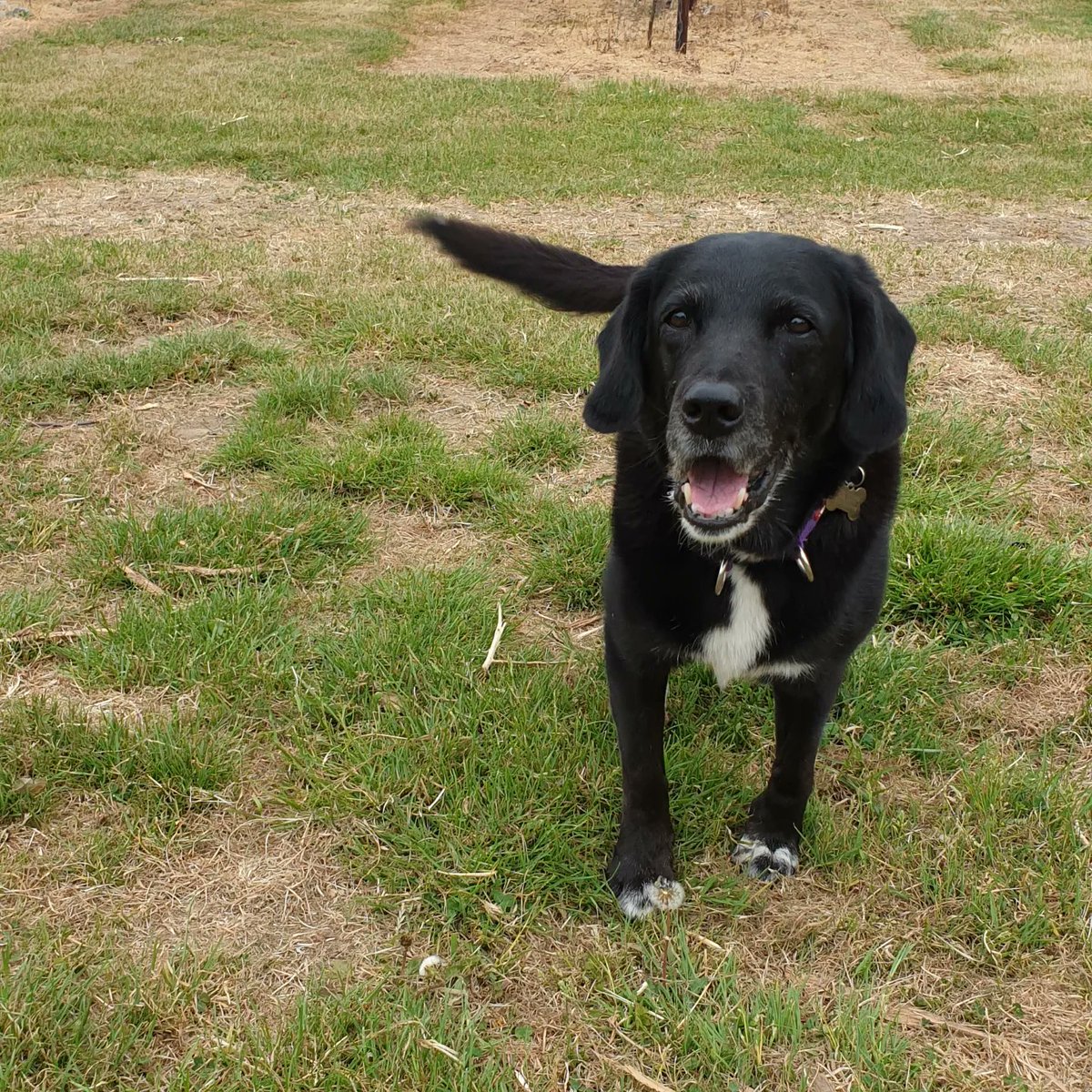 Dudda's Tun Cider tweet media