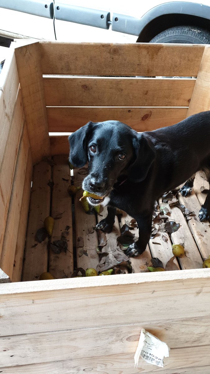 Dudda's Tun Cider tweet media