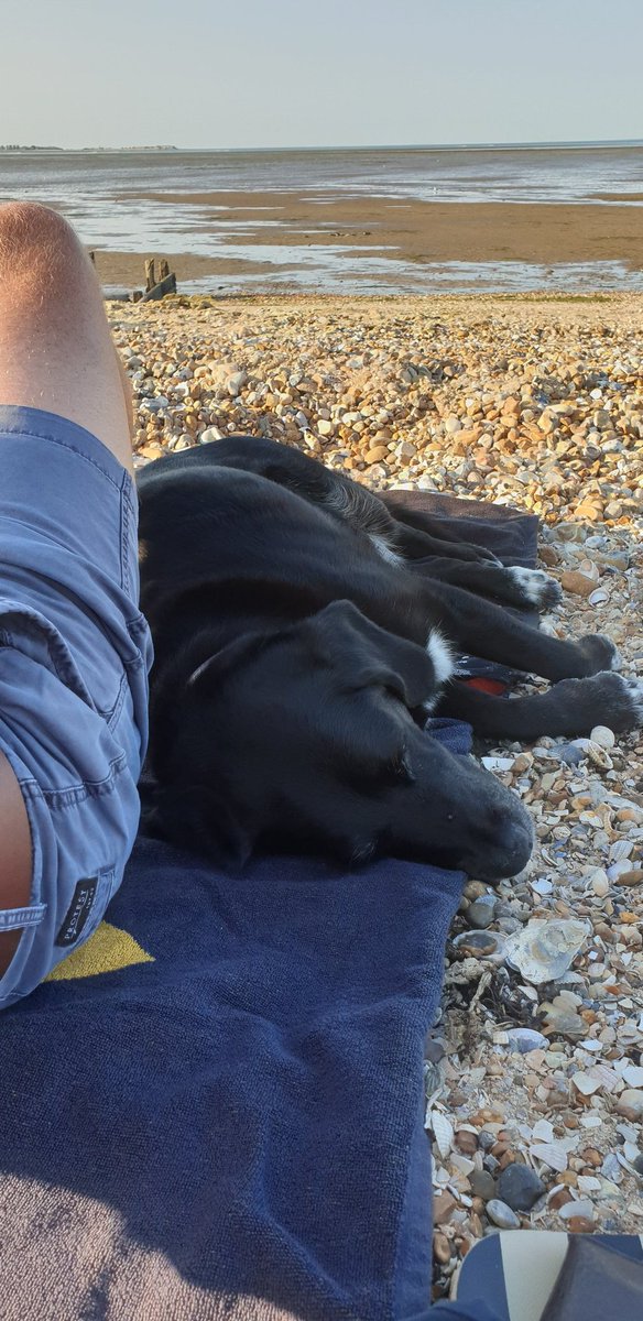 Dudda's Tun Cider tweet media