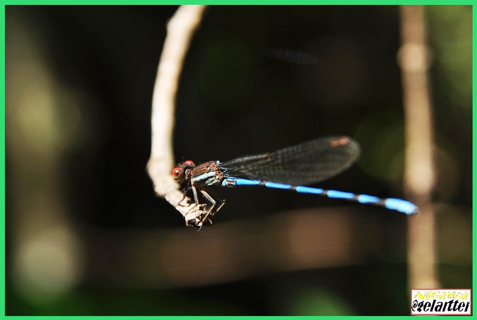 Saber y saberlo demostrar es valer dos veces.