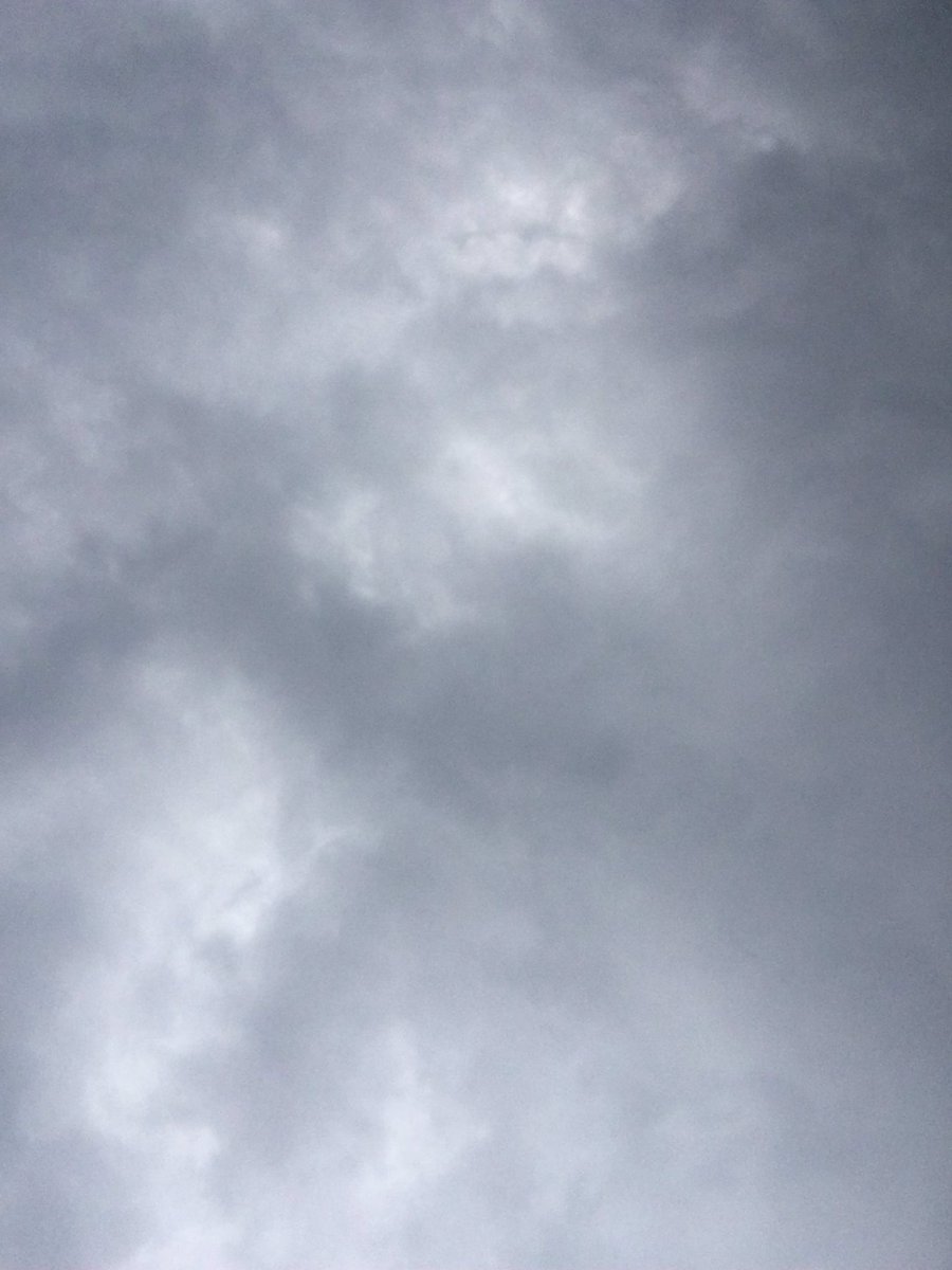 mindoesstuff's tweet image. ♡ today i was at the shopping mall, bought some mangas &amp;lt;33 just rewarding myself after working hard honestly, weather was really cool :D
#studytwt