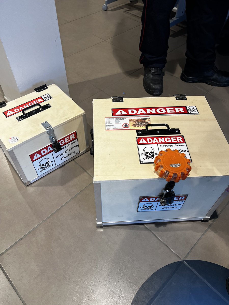 Aujourd’hui tournage <a href="/artetvfr_live/">ARTE Live</a> à l’aéroport de Chabeuil <a href="/AeroportD/">Aéroport Valence-Chabeuil de la Drôme</a> avec l’équipe départementale de secours animalier #edasa 
Le thème de la matinée : capture d’une couleuvre américaine et d’un crotale 🐍 

#snake #serpent