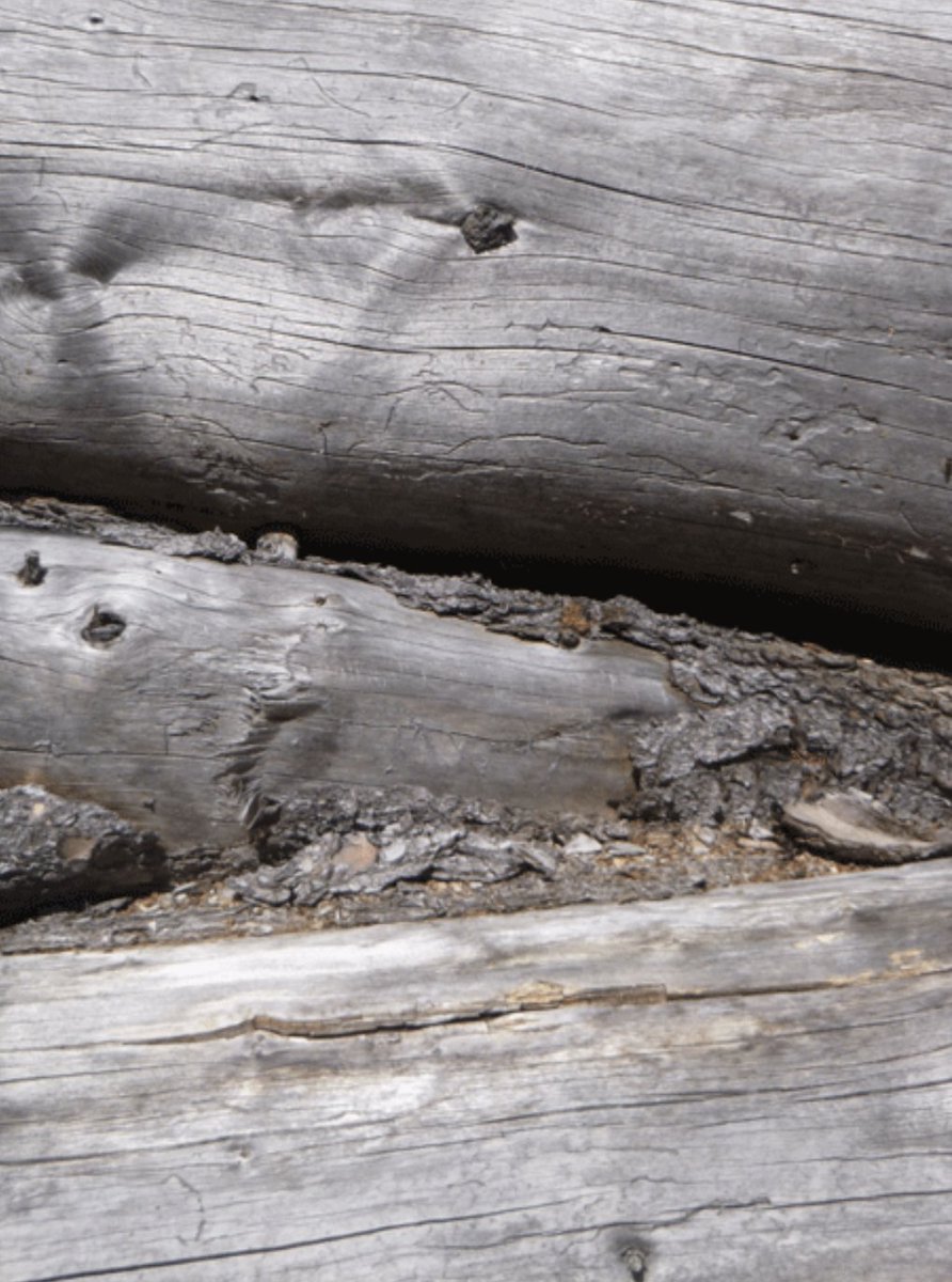 Relay Design Agents tweet media