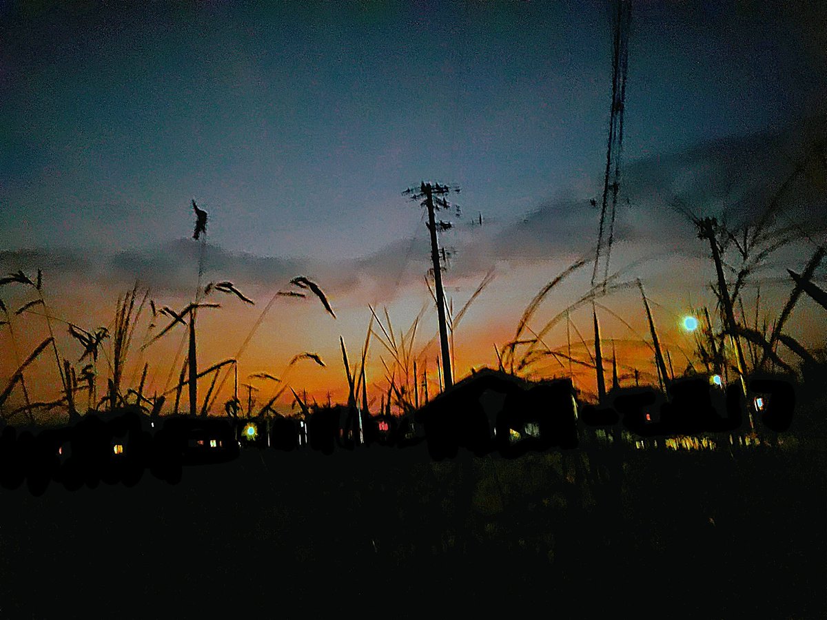 ZCNE5UbAPaPwlPo's tweet photo. あけましておめでとうございます。
スマホのカメラのレンズが割れてしまったので古い写真が多めになると思いますが受験が終わったら今よりもハイペースで投稿しようと思っているのでどうぞよろしくお願いしますm(_ _)m https://t.co/f3sqDmzQ0i
