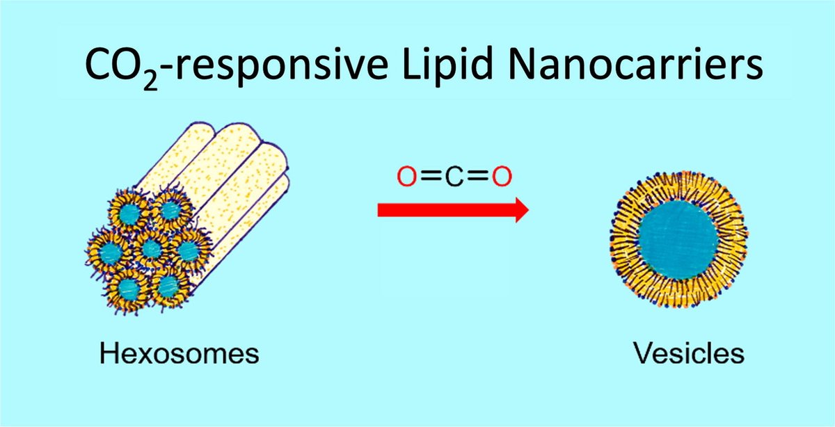 NCCR Bio-Inspired Materials (@nccrbioinspired) on Twitter photo New <a href="/NCCRbioinspired/">NCCR Bio-Inspired Materials</a> publication in the Journal of Colloid and Interface Science (<a href="/sciencedirect/">Elsevier | ScienceDirect</a>) from the <a href="/biocolloids/">Salentinig Lab</a> lab <a href="/unifrChemistry/">UnifrChemistry</a>: Supramolecular Design of CO2-responsive Lipid Nanomaterials sciencedirect.com/science/articl… New <a href="/NCCRbioinspired/">NCCR Bio-Inspired Materials</a> publication in the Journal of Colloid and Interface Science (<a href="/sciencedirect/">Elsevier | ScienceDirect</a>) from the <a href="/biocolloids/">Salentinig Lab</a> lab <a href="/unifrChemistry/">UnifrChemistry</a>: Supramolecular Design of CO2-responsive Lipid Nanomaterials sciencedirect.com/science/articl…