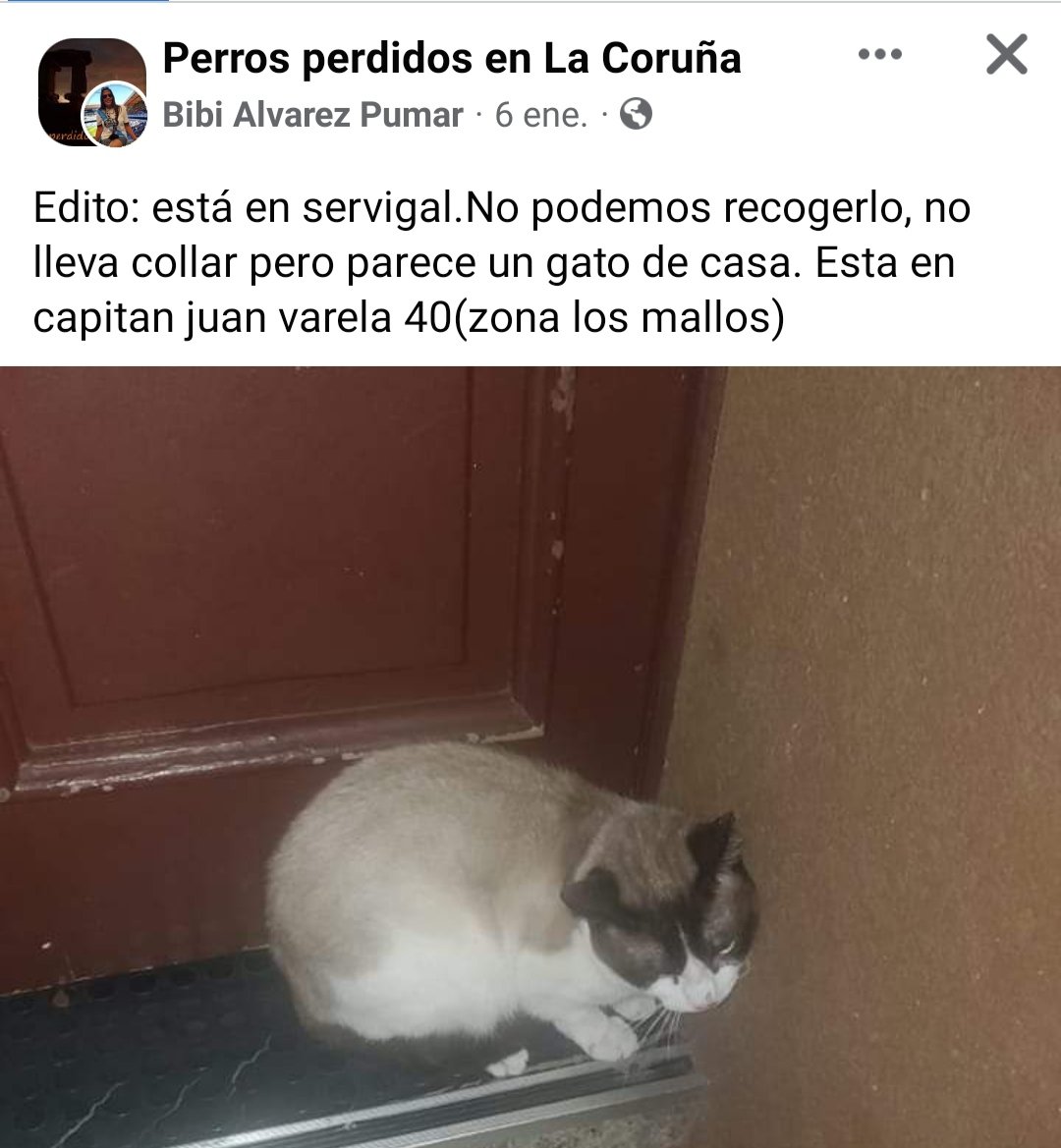 Visto en fcbuk, solo comparto. Encontrado en C/ CAPITÁN JUAN VARELA (Coruña), ahora está en Servigal. <a href="/os_mallos/">Asociacion vecinal independiente Mallos-Vioño</a> <a href="/OsMallosUnidos/">Os Mallos Unidos</a>