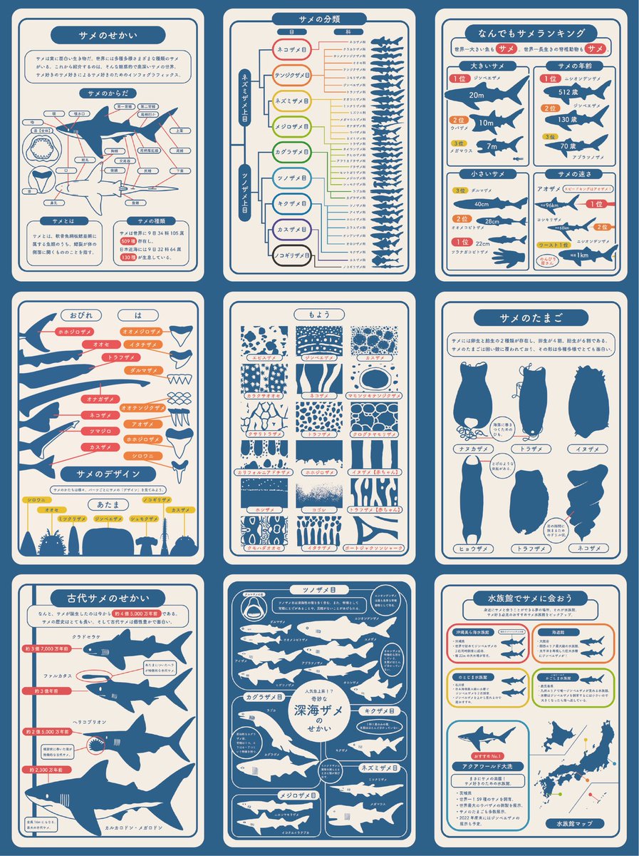 サメについて徹底的にまとめたやつ🦈
このシリーズ他の生き物でも作りたいな〜 