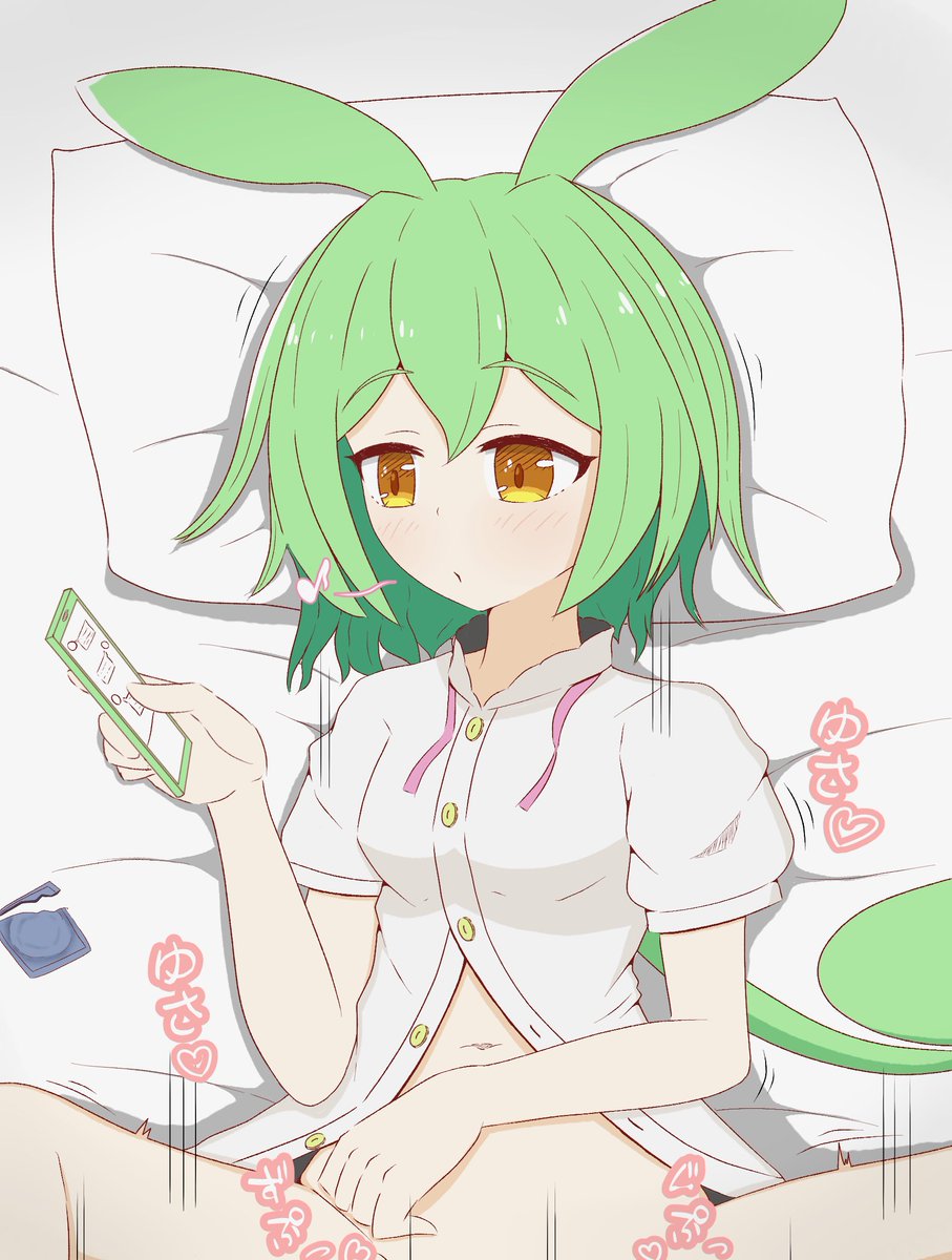 ながらコッショリずんだもん 
