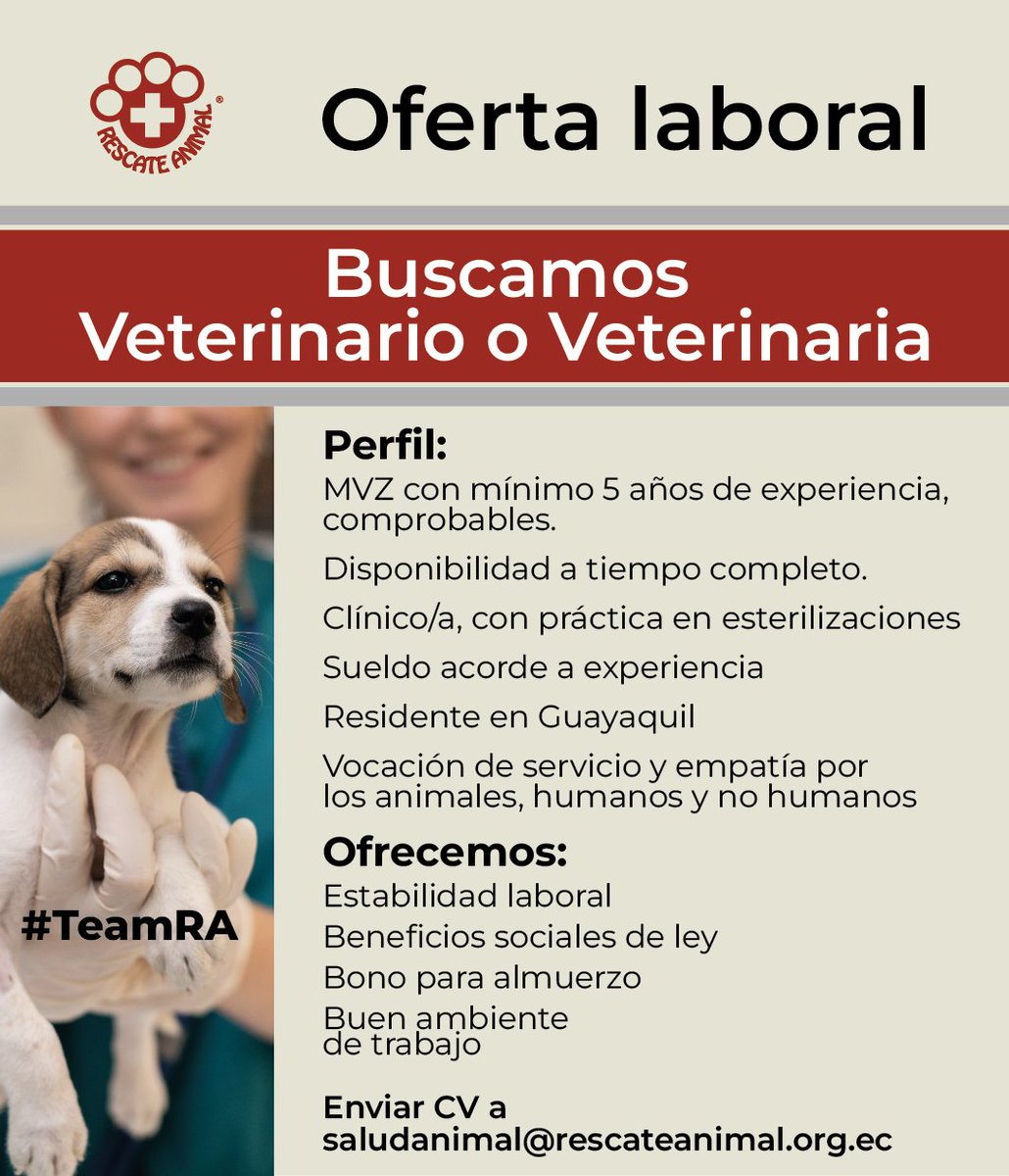 RescateAnimalEC's tweet photo. Oferta laboral.
Buscamos veterinario o veterinaria con experiencia de mínimo 5 años.
Envía tu CV a saludanimal@rescateanimal.org.ec
Sé parte del #TeamRA https://t.co/0NY6QfV8RM