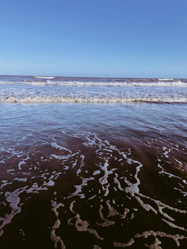 AleBusto13's tweet photo. #seasoul 🌊🦋💙 https://t.co/pqRAuV6DST