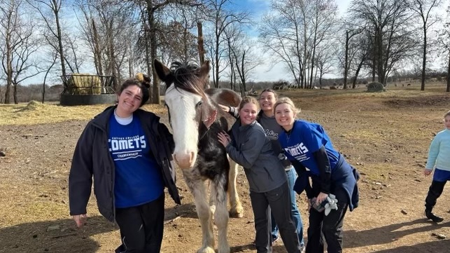 CotteyAthletics's tweet photo. Cottey College sent over 80 Students (71 Student Athletes) to participate in three service projects for the MLK Day of Service. 

Students went to Harvesters Food Bank, Operation Breakthrough in Kansas City, and T &amp; D Donkey Rescue. https://t.co/djpO4gpuCL