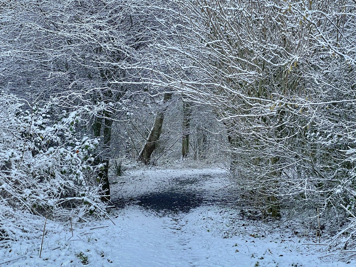 Louisa Crossley (@loopy_lou_c) on Twitter photo Rare snow in Rhuddlan today, and the town is looking lovely āļøāļø <a href="/Ruth_ITV/">Ruth_TV</a> <a href="/DerekTheWeather/">Derek Brockway - weatherman</a> <a href="/allyhumphreys/">Alex Humphreys</a> <a href="/bbcweather/">BBC Weather</a> <a href="/SabrinaJayneLee/">Sabrina Lee</a> <a href="/S4Ctywydd/">S4C Tywydd</a> <a href="/rjournal/">Rhyl Journal</a> <a href="/ItsYourWales/">It's Your Wales</a> Rare snow in Rhuddlan today, and the town is looking lovely āļøāļø <a href="/Ruth_ITV/">Ruth_TV</a> <a href="/DerekTheWeather/">Derek Brockway - weatherman</a> <a href="/allyhumphreys/">Alex Humphreys</a> <a href="/bbcweather/">BBC Weather</a> <a href="/SabrinaJayneLee/">Sabrina Lee</a> <a href="/S4Ctywydd/">S4C Tywydd</a> <a href="/rjournal/">Rhyl Journal</a> <a href="/ItsYourWales/">It's Your Wales</a>